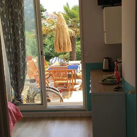 Appartement Petit Studio Terrasse Rez De Jardin Piscine Sur L’océan *